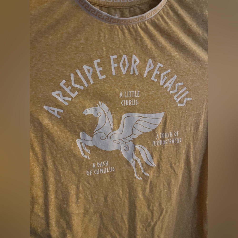 Disney Pegasus Adult tshirt